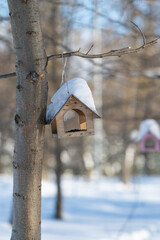 Snowy wooden birdhouse in nature. Rustic birdhouse covered in fresh snow. Peaceful winter scene showing rustic birdhouse adorned with fresh snow amidst textured bark background