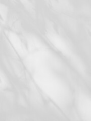 Obraz premium White cement wall background with natural leaf shadow overlay for graphic design