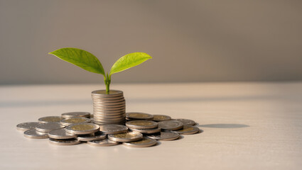 Growing hope with coins and a green plant symbolizing financial growth and sustainability