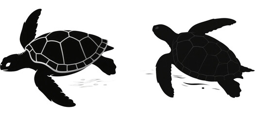 ウミガメ　カメ　動物　生き物　イラスト