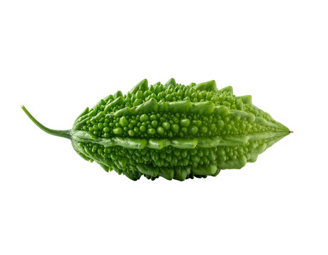 Bitter gourd on white background with bumpy textured green skin and tapered ends