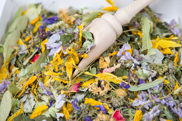 Dried herbal tea with wooden scoop, close-up. Herbal medicine. © Таня Микитюк