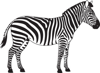 Zebra in two colors isloated