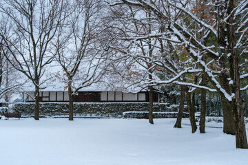 屋敷林の雪景色