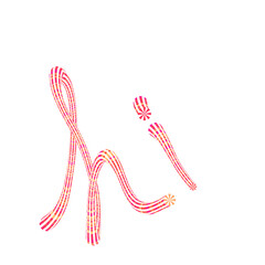 Hand Drawn Word Hi in Pink and Orange Gradient Brush Script