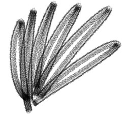 Hand Drawn Charcoal Brush Stroke Set for Artistic Background