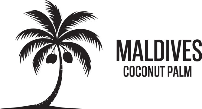 Maldives coconut palm tree tropical island plant symbol exotic travel vacation