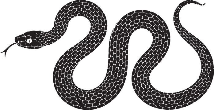 Vector elongated snake silhouette illustration. Black serpent isolated tattoo design.