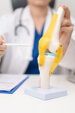 Doctor with Human Knee joint anatomy model. Osteoarthritis, Patellofemoral Pain Syndrome, Patellar Tendinitis, ACL, Anterior Cruciate Ligament, PCL, Posterior, MCL, Medial Collateral, LCL and Lateral