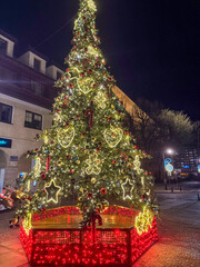 Christmas Tree in Kołobrzeg, Poland