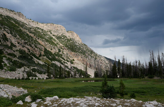 Sun mixed with rain clouds at treeline in the Uinta mountains.