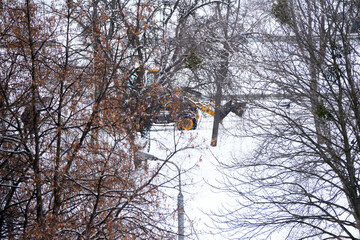 Snow-covered landscape with a working machine clearing the path