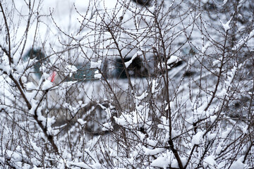Snowy landscape with serene branches and winter charm