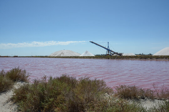 Marais salant d'Aigues Mortes - Gard - Occitanie - France
