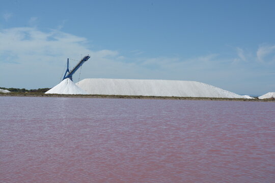 Marais salant d'Aigues Mortes - Gard - Occitanie - France