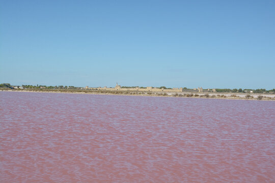 Marais salant d'Aigues Mortes - Gard - Occitanie - France