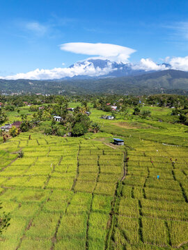 Aerial view of paddy field with Mt Kinabalu view in Ranau Sabah Malaysia
