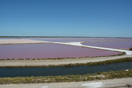 Marais salant d'Aigues Mortes - Gard - Occitanie - France
