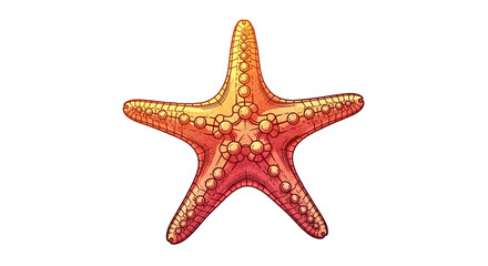 Vibrant Starfish Illustration - Marine Life, Ocean Creature, Underwater Animal