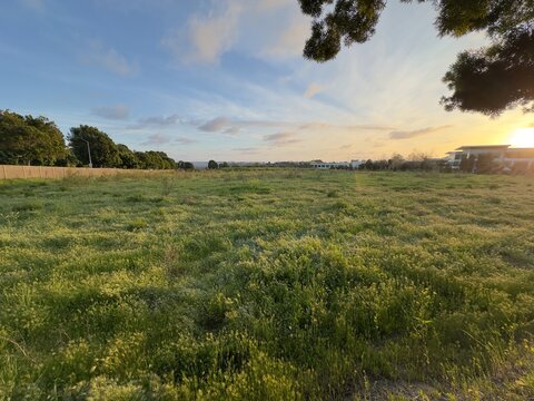 A 7-acre vacant lot in Carlsbad, California, slated for the development of 111 new townhomes.