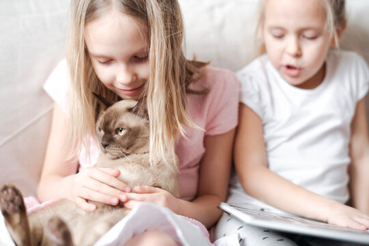 Smiling little girl stroking Burmese cat while her sister reading a book