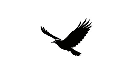 Fototapeta premium Black silhouette of a bird in flight flying free