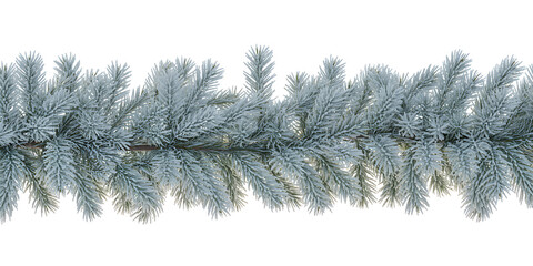 Obraz premium A rich garland of frosty pine branches stretches across a white background, evoking a cold winter holiday spirit.