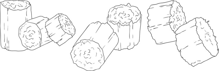 Vector line illustration of fresh cut sugarcane pieces, juicy sugar cane stalks slices showing fibrous sweet interior, tropical street food snack, natural raw cane sugar, exotic refreshment
