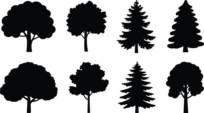 Black tree silhouette icon set, forest deciduous and coniferous pine oak fir trees, nature vector