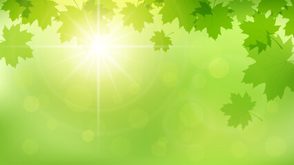 vivid summer floral background