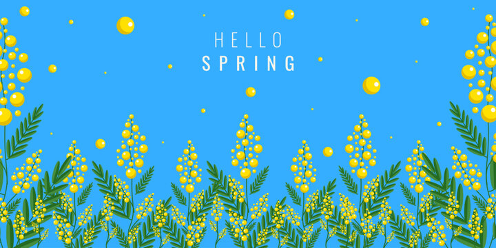 Hello Spring horizontal banner with bold minimal message. Hand drawn vector mimosa Floral Frame with empty space for text isolated blue background. EPS 10