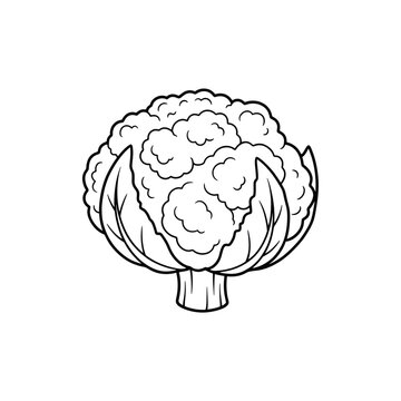 Cauliflower Vegetable Outline Illustration of Colouring Page 