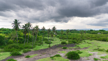 The green grass, swaying coconut trees, Sumba horses, mangrove forests, and thick clouds in the sky all come together in the Sumba savanna