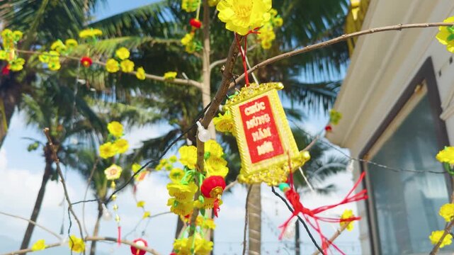 Da nang scene capturing traditional yellow apricot blossom flowers and red tet decorations adorn a tree, symbolizing good fortune and new beginnings during vietnamese lunar new year by the coast