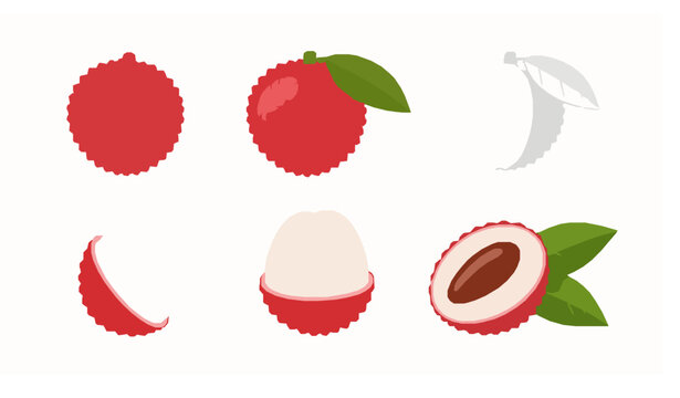 Lychee flat vector illustration tropical fruit set isolated on white
