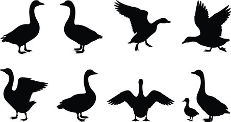 Goose silhouette set, flying and standing waterfowl bird poses vector illustration isolated on white background for design © Julfikar