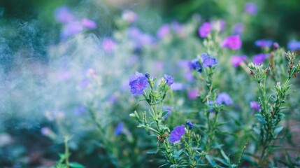 Flowers bloom in a garden during the day with soft smoke in the air
