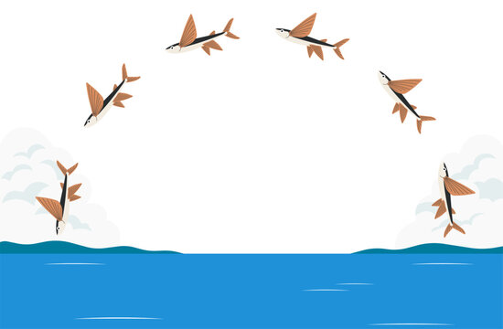 夏の海でアーチを描いて跳ねるトビウオの群れと入道雲の背景イラスト素材