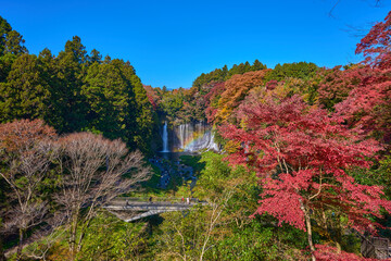 静岡県富士宮市の紅葉の白糸の滝と滝見橋