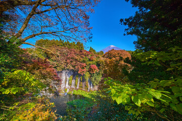静岡県富士宮市の紅葉の白糸の滝と富士山を超広角で見る