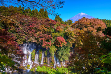 静岡県富士宮市の紅葉の白糸の滝と富士山