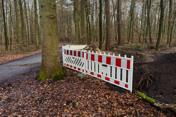 Construction work stops access to path in the forest