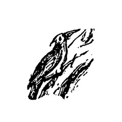 Fototapeta premium Woodpecker, bird perched on a tree trunk, detailed vintage illustration showcasing bold lines, beak, and feather patterns, old vintage illustration, 1897.