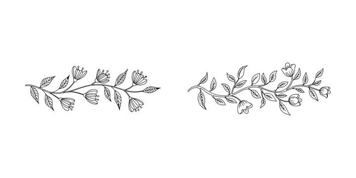 Two hand drawn floral divider elements with delicate flowers leaves and swirling botanical vines on white background