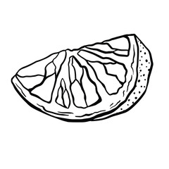 Fototapeta premium Lemon slice sketch style monochrome vector illustration