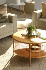 Plant with magazines on coffee table in living room