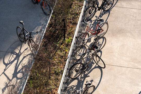Row of bicycles parking along sidewalk with commuting shadows showing sustainable urban mobility in Copenhagen Denmark and everyday cycling culture outdoors