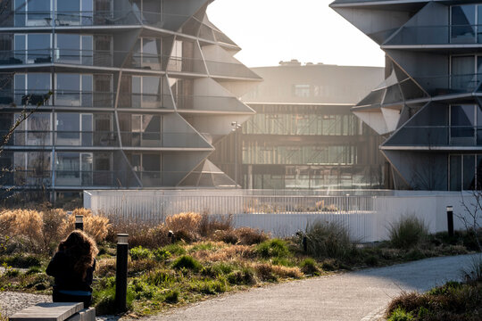 Sustainable urban park pathway beside modern architecture and building with resident in Copenhagen Denmark captured in soft light and contemporary public space