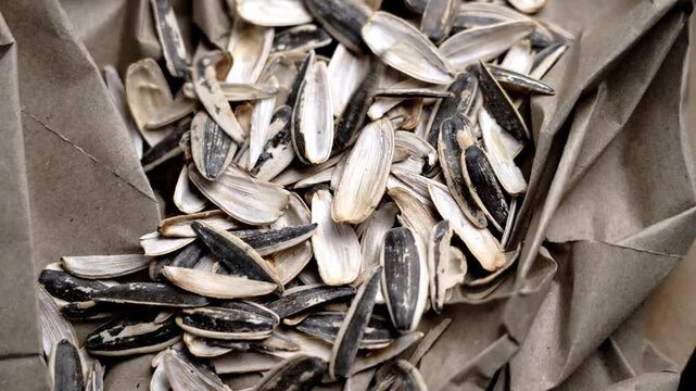 Sunflower seed husks falling on crumpled wrapping paper. Traditional street snack remains after consumption. Close up organic shell texture