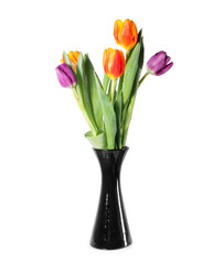 Bouquet of five tulips in a vase isolated on transparent background